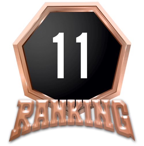 ランキング11メダル