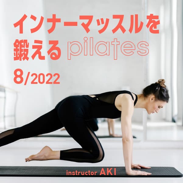 【ウエルネス】インナーマッスル　ダイエット　筋トレ ヴィセーヌボール ウエルネス】インナーマッスル ダイエット 筋トレ ヴィセーヌボール