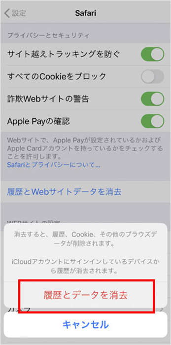 ios safari4