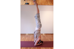 頭立ちのポーズ