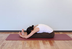 5.前屈のポーズ