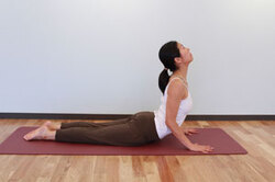 7.息を吸いながら、腰を床に降ろし、手の平しっかり開いて床を押しながら上体を起こして後ろへ反らせる。両脚は揃えたままにし、肩は下げて肩甲骨を引き寄せるように後ろへ引いて胸をひらく。上後方を見上げる。