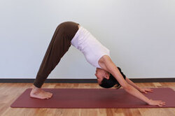 8.息を吐きながら、足先を床へ降ろし、腰を後ろへ高く引き上げて逆V字型になる（下を向いた犬のポーズ／アドー・ムカ・シュワーナアサナ）。かかとを床に押しつけ（膝が曲がってしまう場合はつけずに）、頭を下げ、視線はへそへ。肩が前にせり出さないようにする。