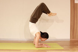 1-2.さそりのポーズ（※頭立ちのポーズの上級ポーズ1）