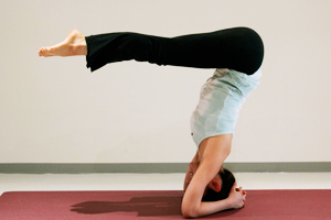 イルカのポーズ